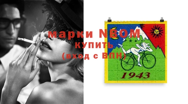индика Кинешма