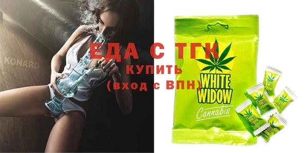 индика Кинешма