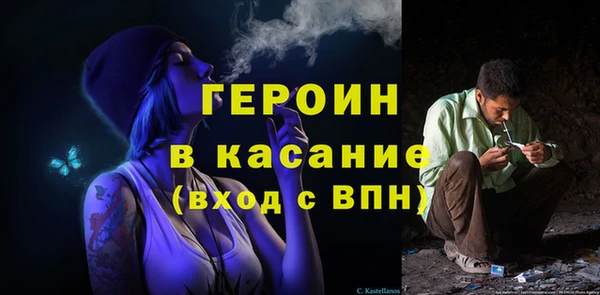 индика Кинешма