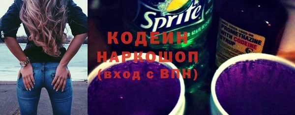 индика Кинешма