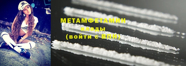 индика Кинешма