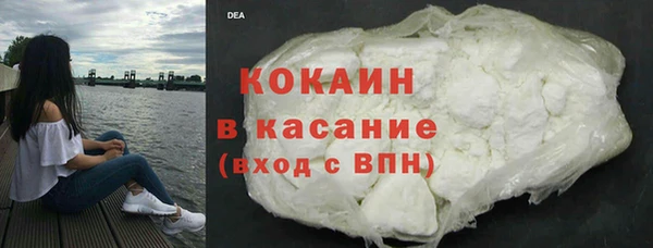 индика Кинешма