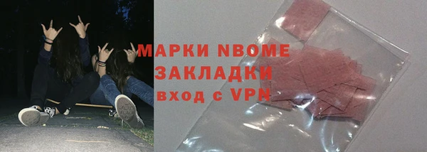 индика Кинешма