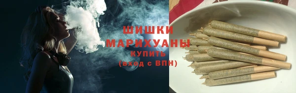 прущие крисы Киренск