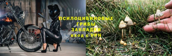 прущие крисы Киренск