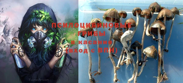 индика Кинешма