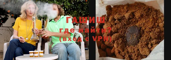 индика Кинешма
