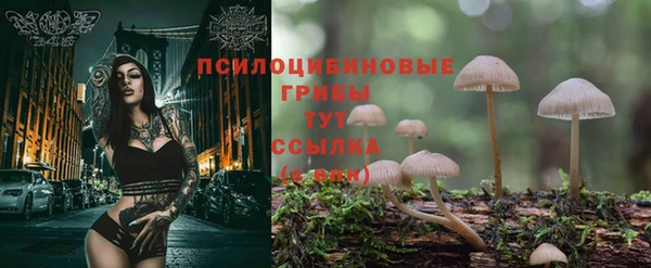 прущие крисы Киренск