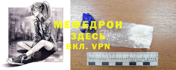 индика Кинешма
