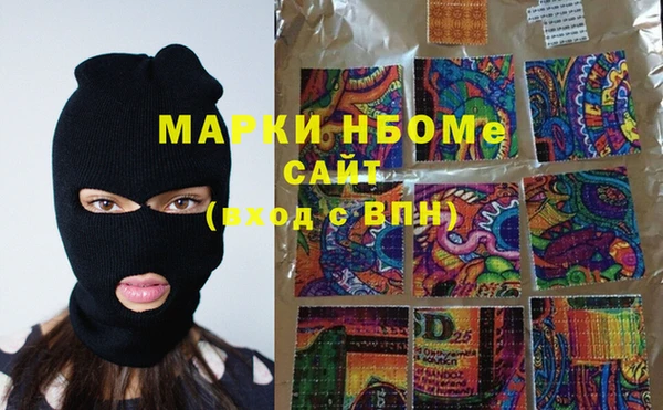 индика Кинешма