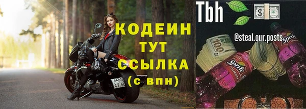 прущие крисы Киренск