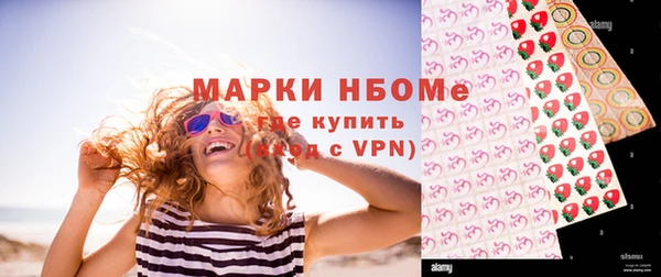 индика Кинешма