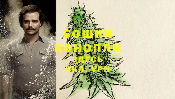 индика Кинешма