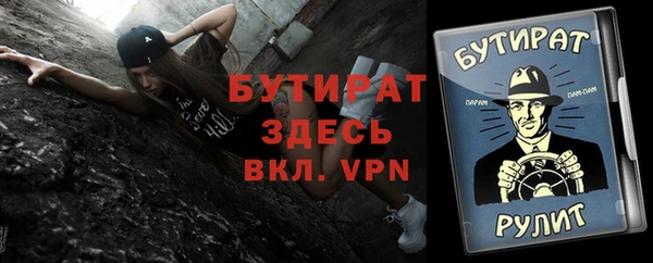 индика Кинешма