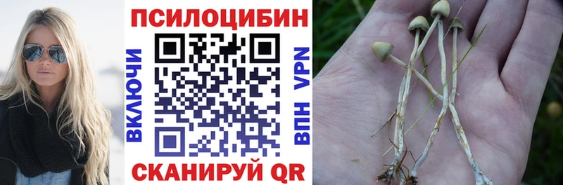 Псилоцибиновые грибы ЛСД Княгинино